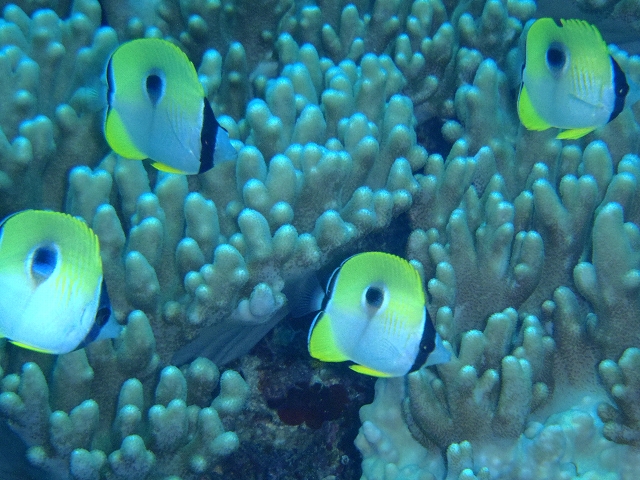 20141006162845.jpg 20141006162845.jpg