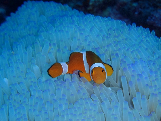 20141006162908.jpg 20141006162908.jpg