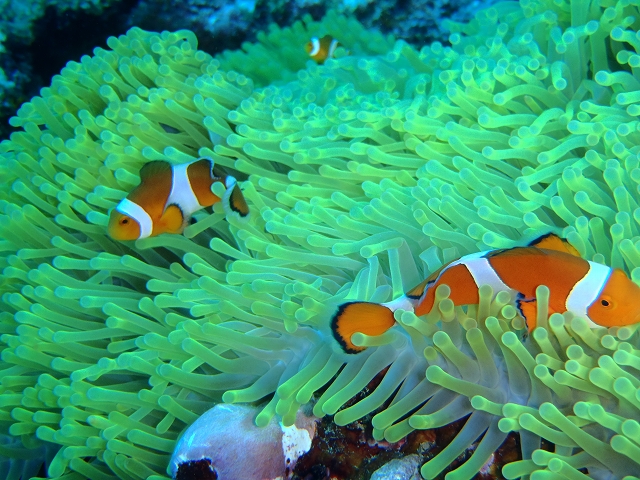 20141006162923.jpg 20141006162923.jpg