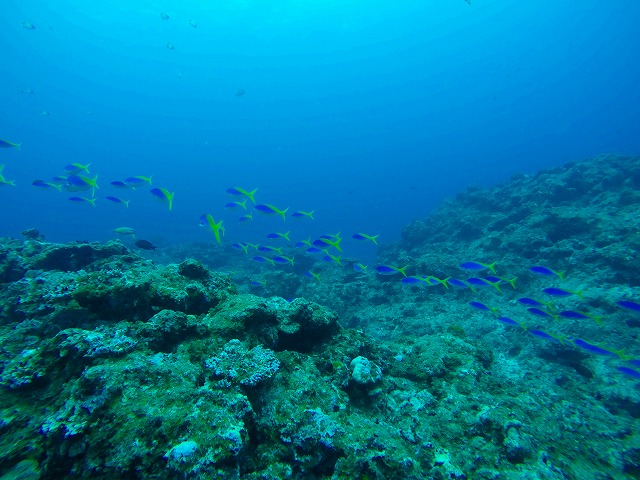 20150413200933.jpg 20150413200933.jpg