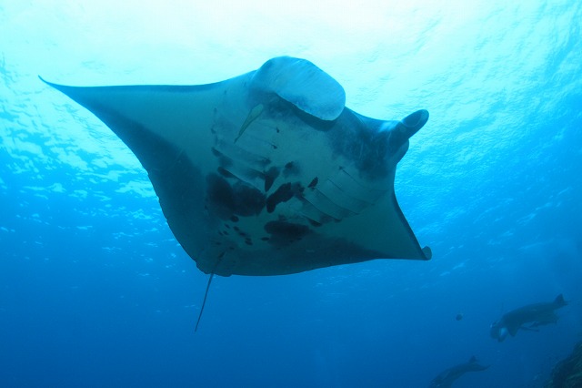 20150420174459.jpg 20150420174459.jpg