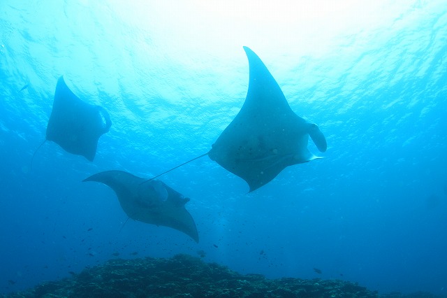 20150420174500.jpg 20150420174500.jpg