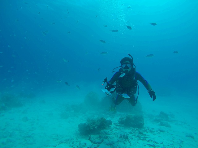 20150424001743.jpg 20150424001743.jpg