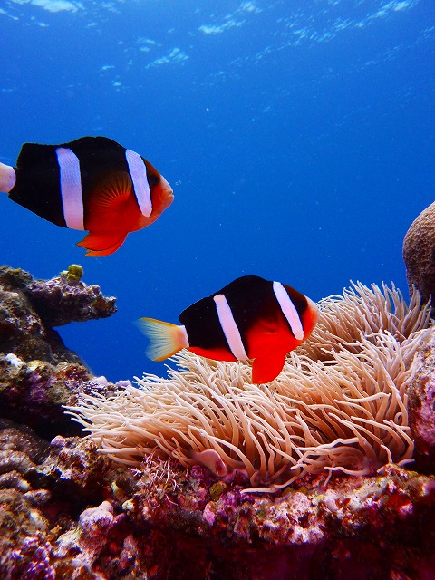 20150507183128.jpg 20150507183128.jpg