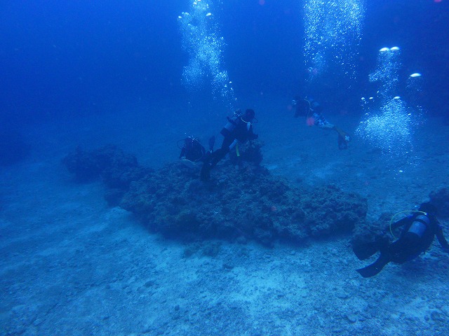 20150507183129.jpg 20150507183129.jpg