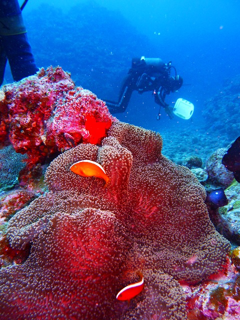 20150507183130.jpg 20150507183130.jpg