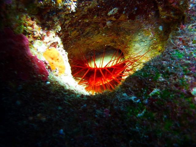 20150507183131.jpg 20150507183131.jpg