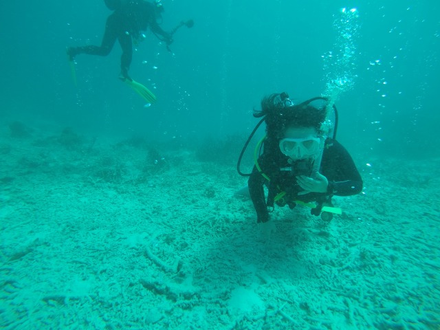 20150516182924.jpg 20150516182924.jpg