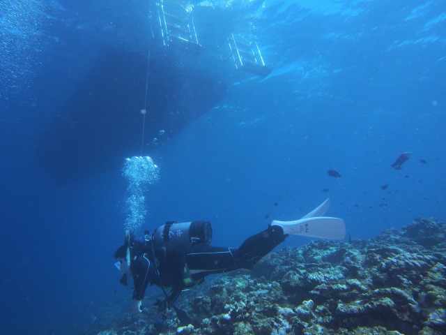 20150516182927.jpg 20150516182927.jpg