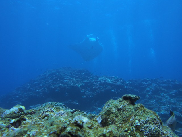 20150516182930.jpg 20150516182930.jpg