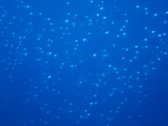 20150520200951.jpg 20150520200951.jpg