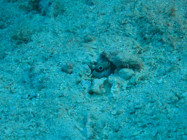 20150520200952.jpg 20150520200952.jpg