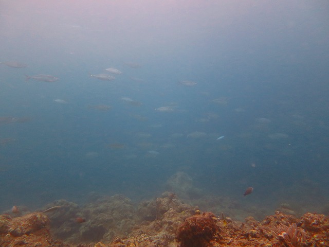 20150520200954.jpg 20150520200954.jpg