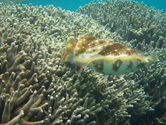 20150520200955.jpg 20150520200955.jpg