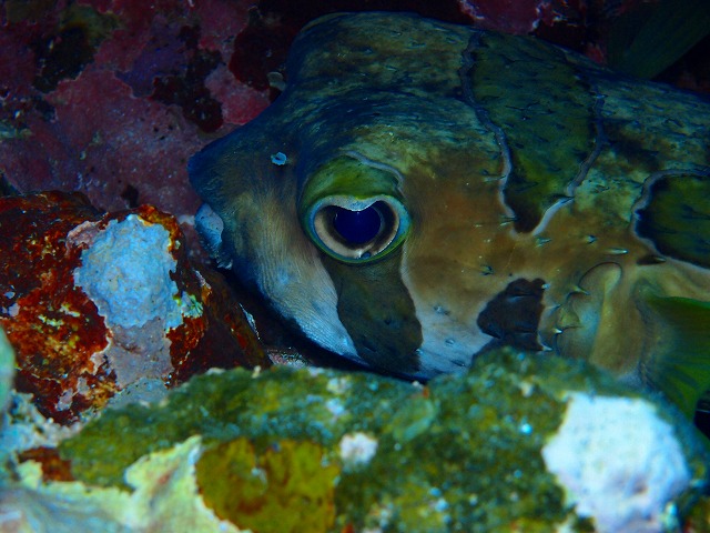 20150520201315.jpg 20150520201315.jpg