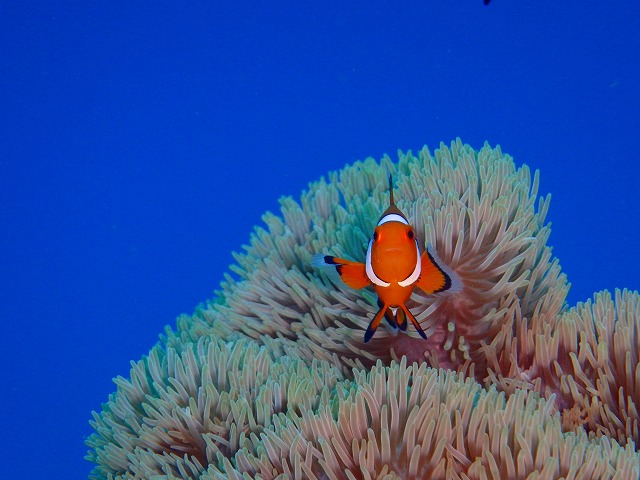 20150521184531.jpg 20150521184531.jpg