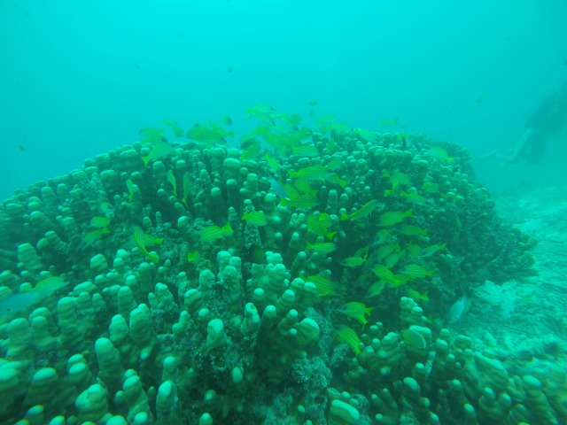 20150526165648.jpg 20150526165648.jpg