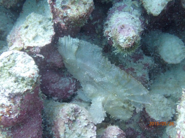 20150526165650.jpg 20150526165650.jpg