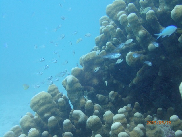 20150526165651.jpg 20150526165651.jpg