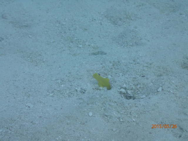 20150526165653.jpg 20150526165653.jpg