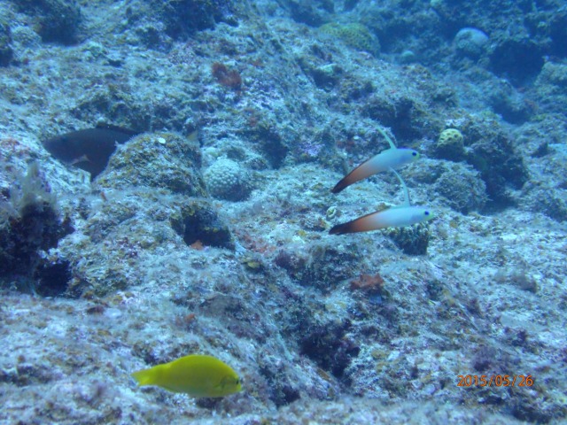 20150526165654.jpg 20150526165654.jpg