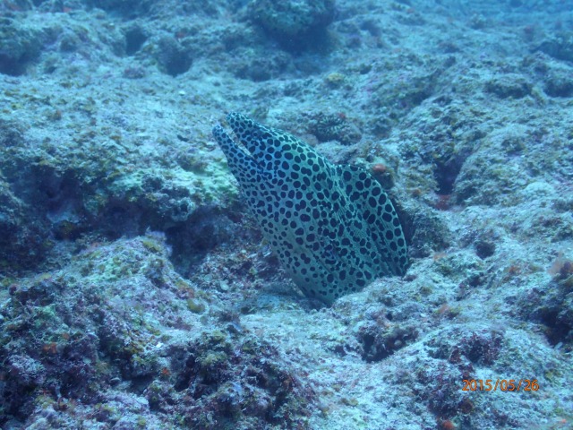 20150526165655.jpg 20150526165655.jpg