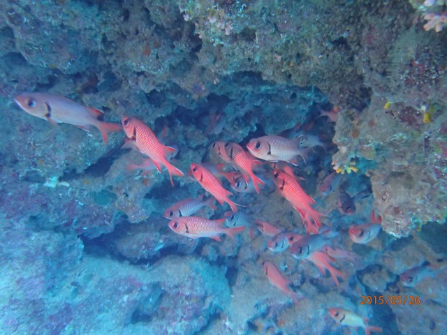 20150526165657.jpg 20150526165657.jpg