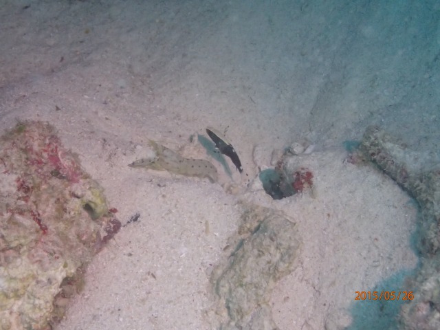 20150526165658.jpg 20150526165658.jpg