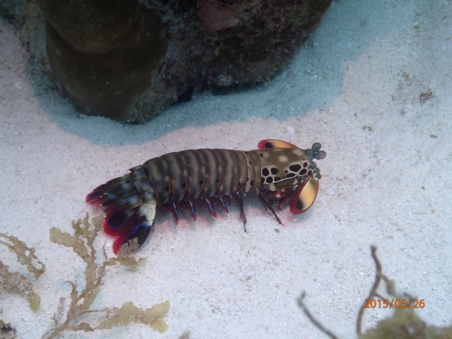 20150526165659.jpg 20150526165659.jpg