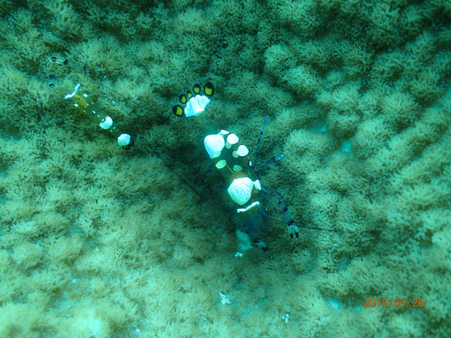 20150526165700.jpg 20150526165700.jpg