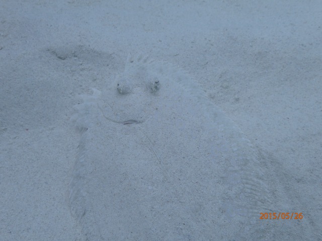 20150526165701.jpg 20150526165701.jpg