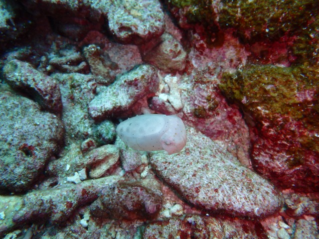 20150610171314.jpg 20150610171314.jpg