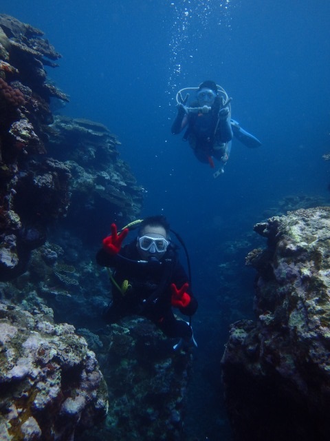 20150610171315.jpg 20150610171315.jpg