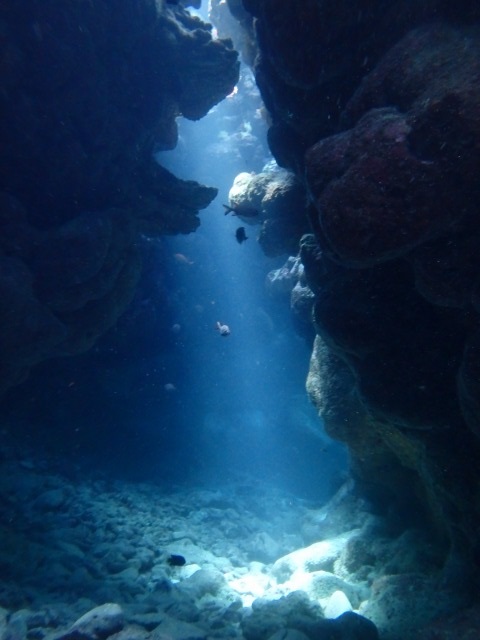 20150610171316.jpg 20150610171316.jpg