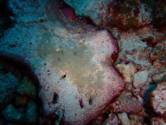 20150610171318.jpg 20150610171318.jpg