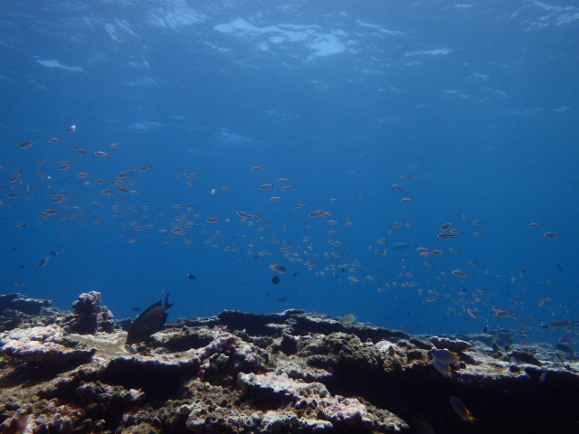 20150610171319.jpg 20150610171319.jpg