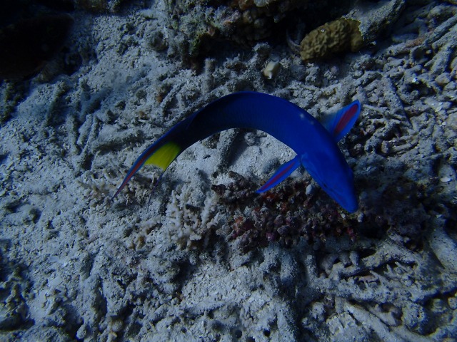 20150611174254.jpg 20150611174254.jpg