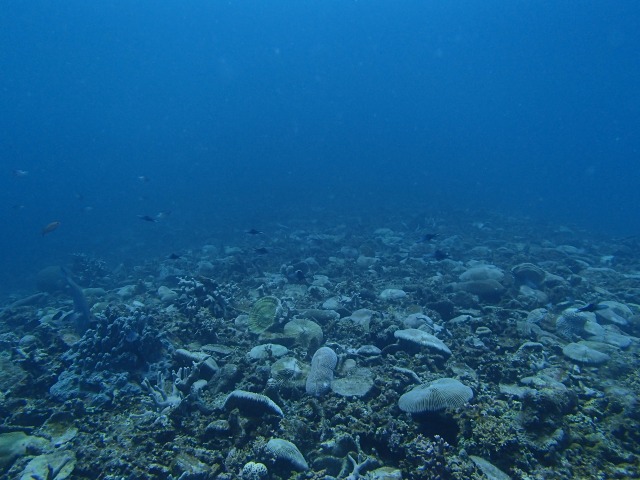 20150611174257.jpg 20150611174257.jpg