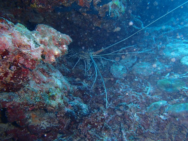 20150611174259.jpg 20150611174259.jpg