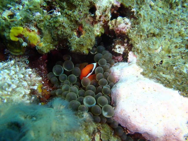 20150611174300.jpg 20150611174300.jpg