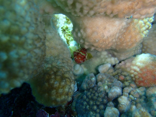 20150611174302.jpg 20150611174302.jpg