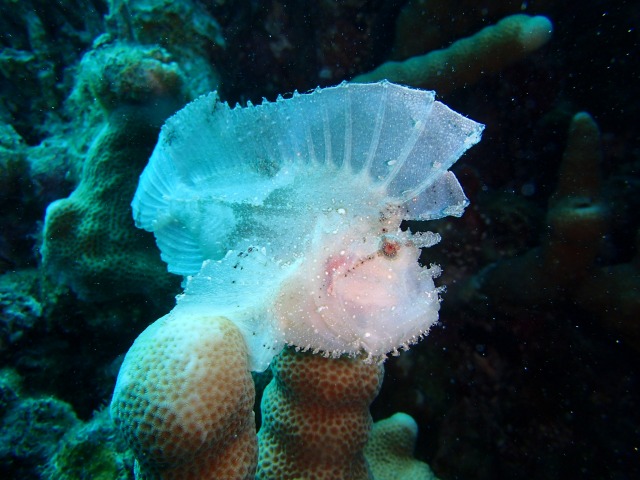 20150611174304.jpg 20150611174304.jpg