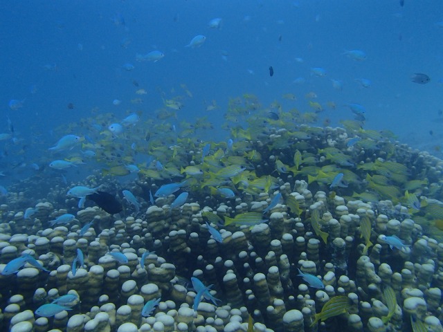 20150611174305.jpg 20150611174305.jpg