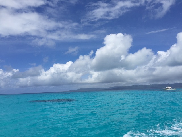 20150612173923.jpg 20150612173923.jpg