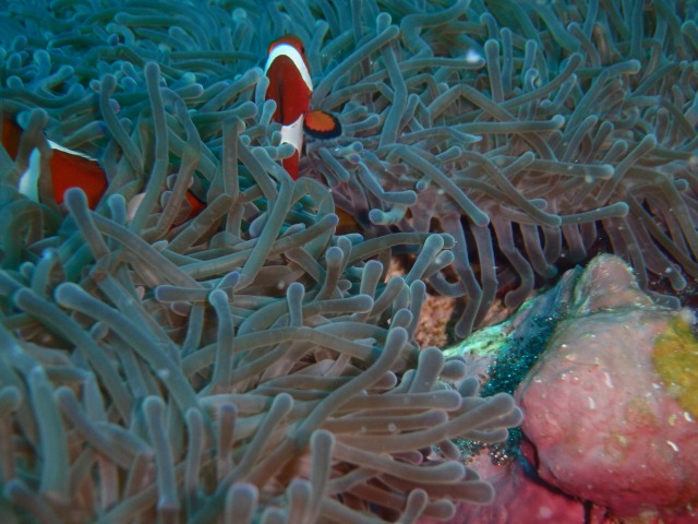 20150613171625.jpg 20150613171625.jpg