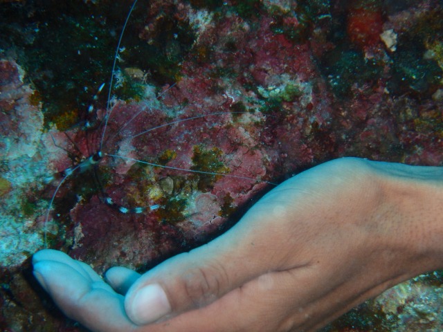 20150613171626.jpg 20150613171626.jpg