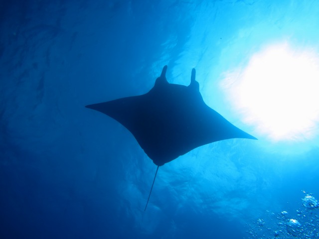 20150613174332.jpg 20150613174332.jpg