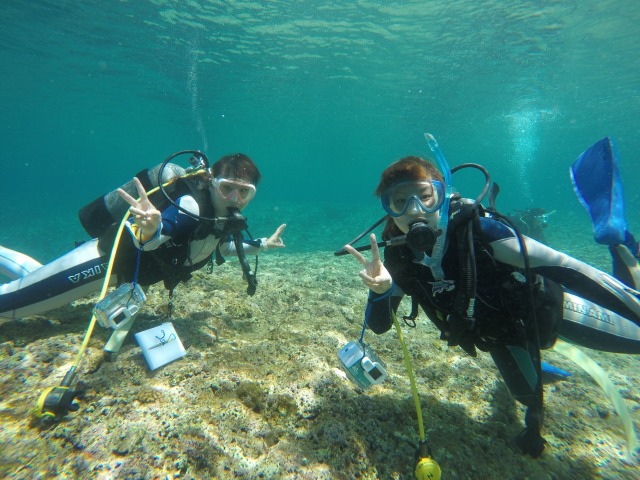 20150613184419.jpg 20150613184419.jpg