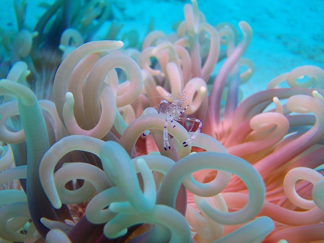 20150615181847.jpg 20150615181847.jpg