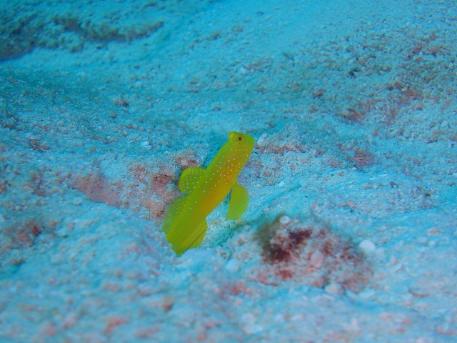 20150615181848.jpg 20150615181848.jpg